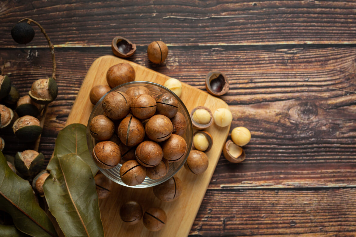 heap of macadamia raw seed